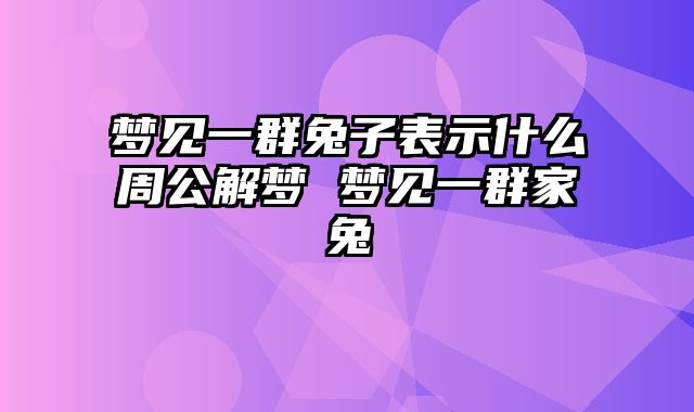 梦见一群兔子表示什么周公解梦 梦见一群家兔