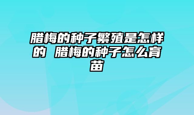 腊梅的种子繁殖是怎样的 腊梅的种子怎么育苗