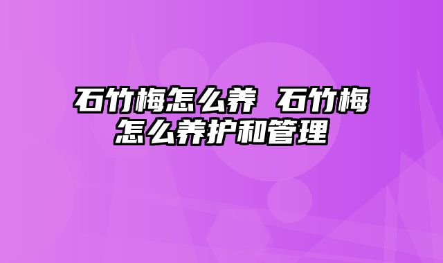 石竹梅怎么养 石竹梅怎么养护和管理