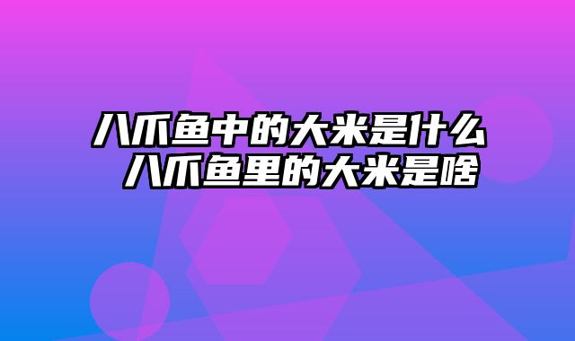 八爪鱼中的大米是什么 八爪鱼里的大米是啥