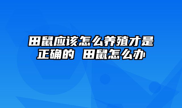 田鼠应该怎么养殖才是正确的 田鼠怎么办