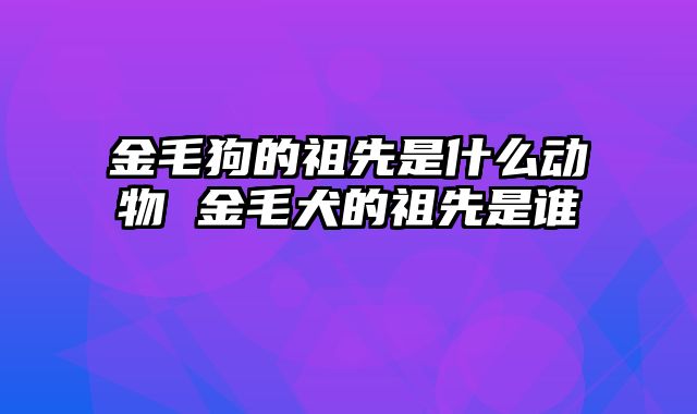 金毛狗的祖先是什么动物 金毛犬的祖先是谁