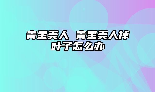 青星美人 青星美人掉叶子怎么办