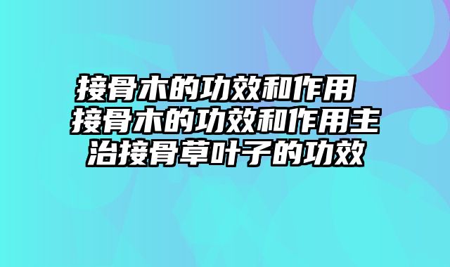 接骨木的功效和作用 接骨木的功效和作用主治接骨草叶子的功效