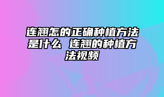 连翘怎的正确种植方法是什么 连翘的种植方法视频