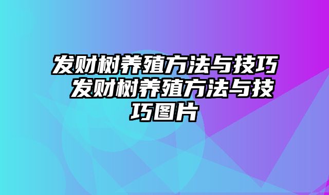 发财树养殖方法与技巧 发财树养殖方法与技巧图片