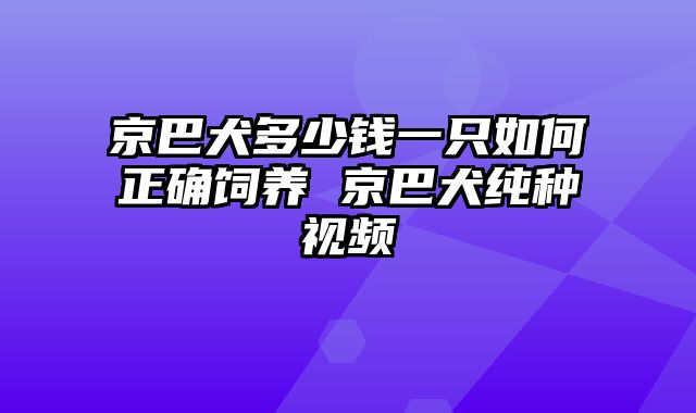 京巴犬多少钱一只如何正确饲养 京巴犬纯种视频