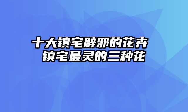 十大镇宅辟邪的花卉 镇宅最灵的三种花