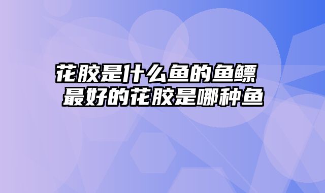 花胶是什么鱼的鱼鳔 最好的花胶是哪种鱼