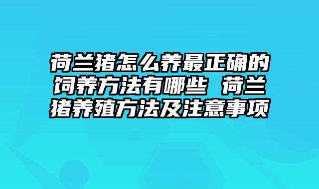 荷兰猪怎么养最正确的饲养方法有哪些 荷兰猪养殖方法及注意事项