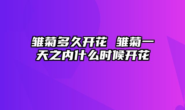 雏菊多久开花 雏菊一天之内什么时候开花