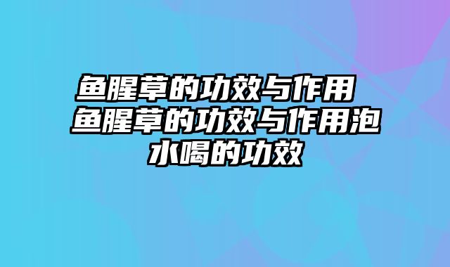 鱼腥草的功效与作用 鱼腥草的功效与作用泡水喝的功效