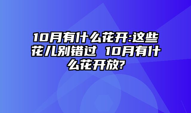 10月有什么花开:这些花儿别错过 10月有什么花开放?