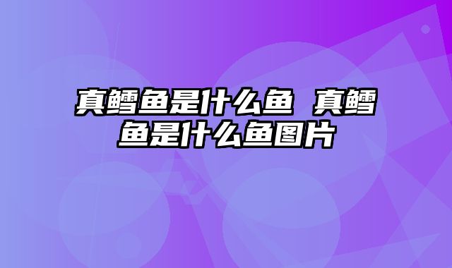 真鳕鱼是什么鱼 真鳕鱼是什么鱼图片