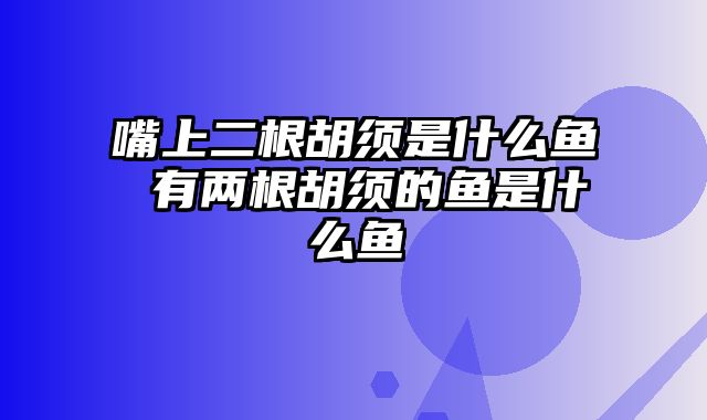 嘴上二根胡须是什么鱼 有两根胡须的鱼是什么鱼