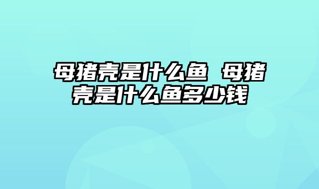 母猪壳是什么鱼 母猪壳是什么鱼多少钱