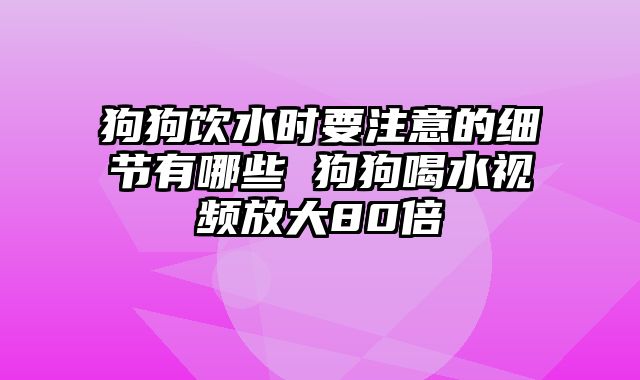 狗狗饮水时要注意的细节有哪些 狗狗喝水视频放大80倍