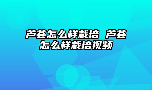 芦荟怎么样栽培 芦荟怎么样栽培视频