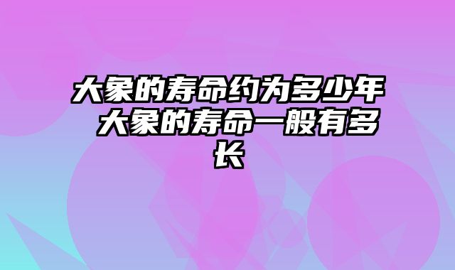 大象的寿命约为多少年 大象的寿命一般有多长