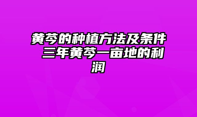 黄芩的种植方法及条件 三年黄芩一亩地的利润