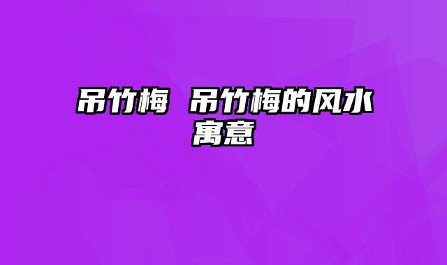 吊竹梅 吊竹梅的风水寓意