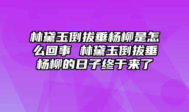 林黛玉倒拔垂杨柳是怎么回事 林黛玉倒拔垂杨柳的日子终于来了