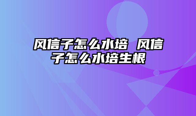 风信子怎么水培 风信子怎么水培生根