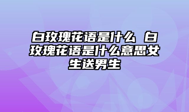 白玫瑰花语是什么 白玫瑰花语是什么意思女生送男生