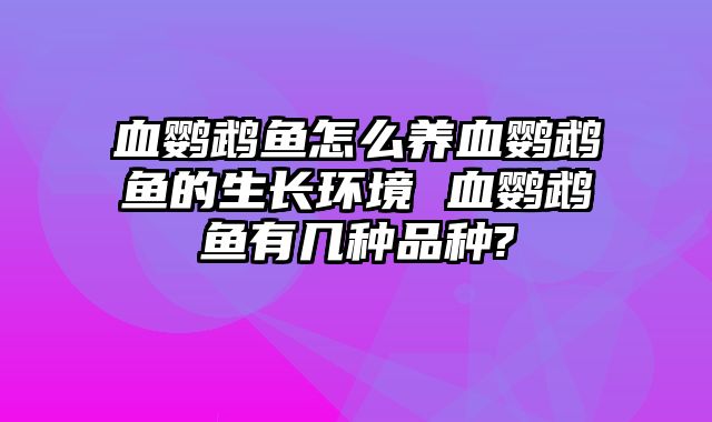 血鹦鹉鱼怎么养血鹦鹉鱼的生长环境 血鹦鹉鱼有几种品种?