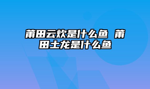 莆田云炊是什么鱼 莆田土龙是什么鱼