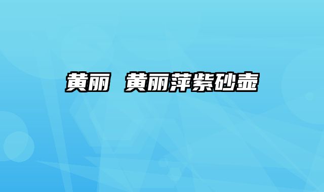 黄丽 黄丽萍紫砂壶