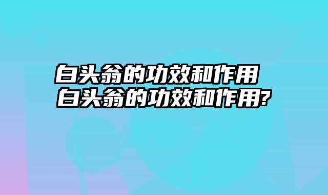 白头翁的功效和作用 白头翁的功效和作用?