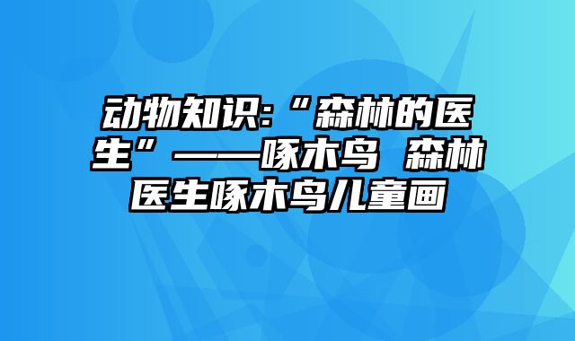 动物知识:“森林的医生”——啄木鸟 森林医生啄木鸟儿童画