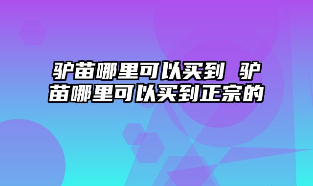 驴苗哪里可以买到 驴苗哪里可以买到正宗的