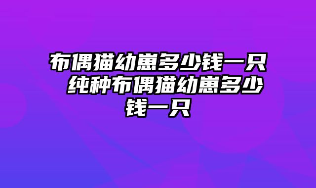 布偶猫幼崽多少钱一只 纯种布偶猫幼崽多少钱一只