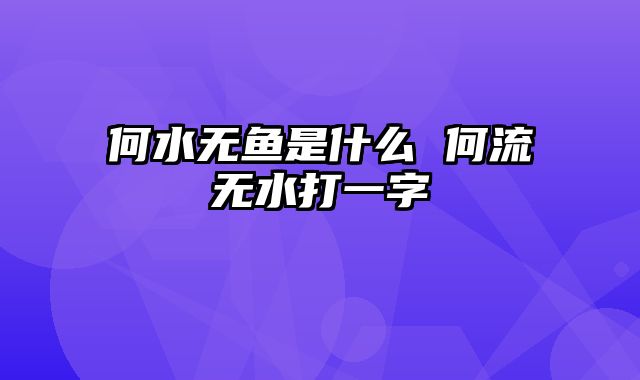 何水无鱼是什么 何流无水打一字