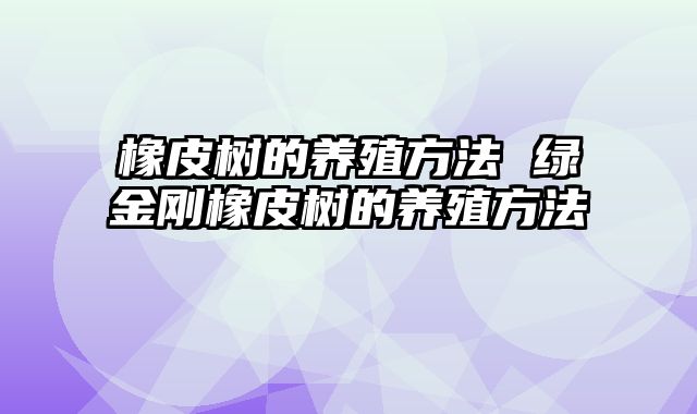 橡皮树的养殖方法 绿金刚橡皮树的养殖方法