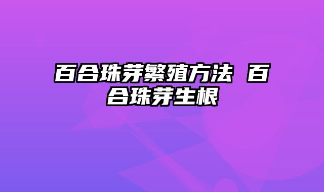 百合珠芽繁殖方法 百合珠芽生根