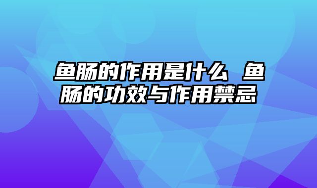 鱼肠的作用是什么 鱼肠的功效与作用禁忌