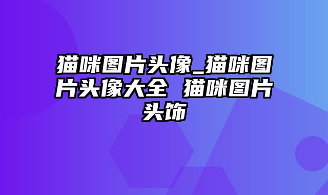 猫咪图片头像_猫咪图片头像大全 猫咪图片头饰