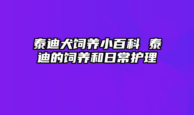 泰迪犬饲养小百科 泰迪的饲养和日常护理