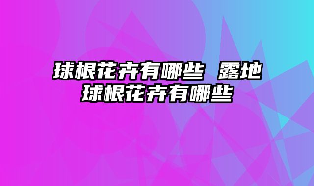 球根花卉有哪些 露地球根花卉有哪些