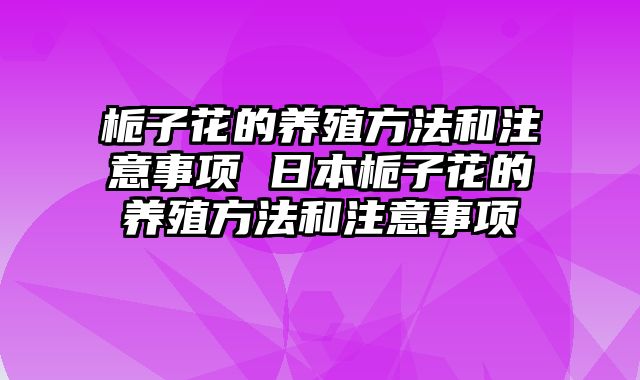 栀子花的养殖方法和注意事项 日本栀子花的养殖方法和注意事项