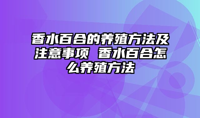 香水百合的养殖方法及注意事项 香水百合怎么养殖方法