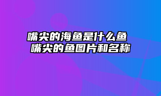 嘴尖的海鱼是什么鱼 嘴尖的鱼图片和名称