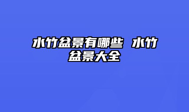 水竹盆景有哪些 水竹盆景大全