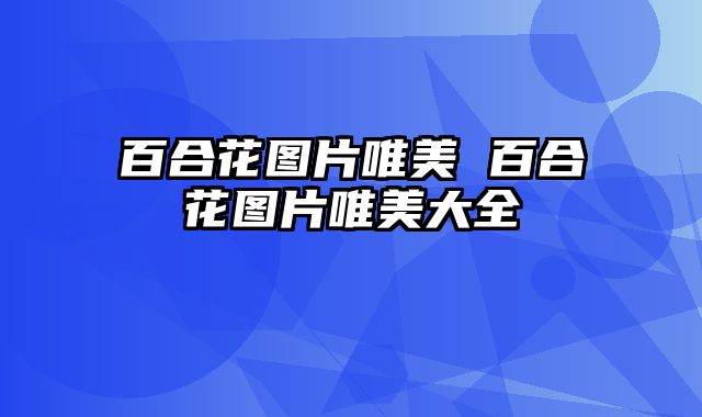 百合花图片唯美 百合花图片唯美大全