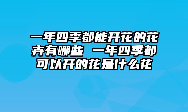 一年四季都能开花的花卉有哪些 一年四季都可以开的花是什么花