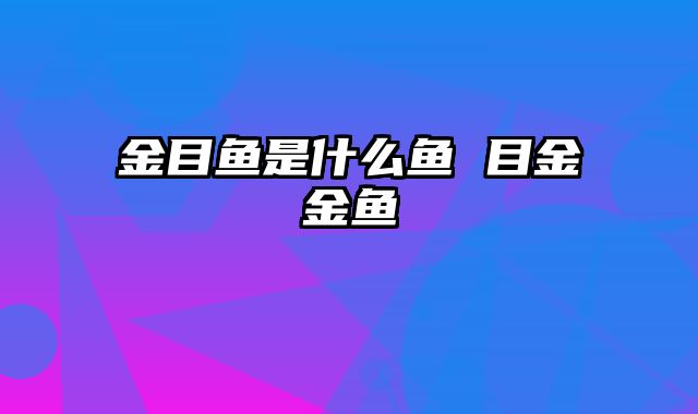 金目鱼是什么鱼 目金金鱼