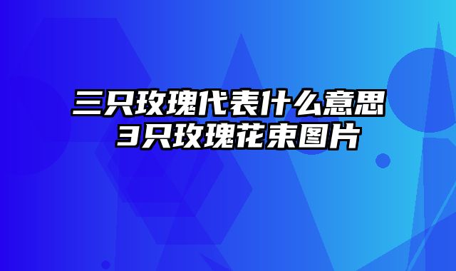 三只玫瑰代表什么意思 3只玫瑰花束图片